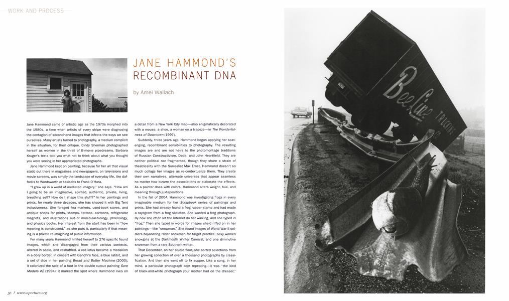 Jane Hammond's Recombinant Dna