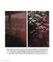 Page: - 34 | Aperture