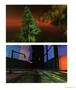 Page: - 43 | Aperture
