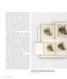 Page: - 58 | Aperture