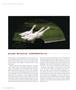 Page: - 62 | Aperture