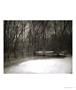 Page: - 75 | Aperture