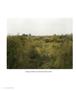 Page: - 80 | Aperture
