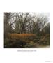 Page: - 81 | Aperture