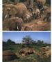 Page: - 80 | Aperture