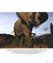 Page: - 81 | Aperture