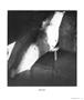 Page: - 27 | Aperture