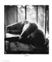 Page: - 28 | Aperture
