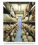 Page: - 32 | Aperture