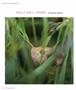 Page: - 64 | Aperture
