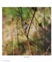 Page: - 70 | Aperture