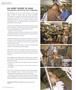 Page: - 82 | Aperture