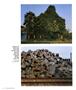 Page: - 50 | Aperture