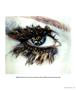Page: - 73 | Aperture