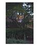 Page: - 55 | Aperture