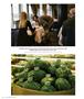Page: - 36 | Aperture