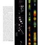 Page: - 69 | Aperture