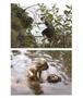 Page: - 43 | Aperture