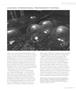 Page: - 77 | Aperture
