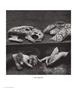Page: - 70 | Aperture