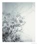 Page: - 39 | Aperture