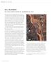 Page: - 80 | Aperture
