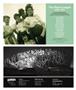 Page: - 11 | Aperture