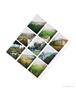 Page: - 31 | Aperture