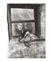 Page: - 39 | Aperture