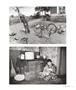 Page: - 41 | Aperture