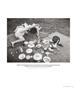 Page: - 43 | Aperture