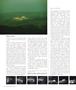 Page: - 68 | Aperture