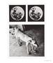 Page: - 53 | Aperture