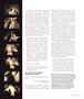 Page: - 41 | Aperture