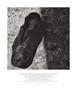 Page: - 56 | Aperture