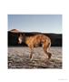Page: - 35 | Aperture