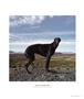 Page: - 41 | Aperture