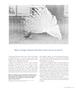 Page: - 47 | Aperture