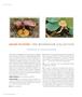 Page: - 48 | Aperture