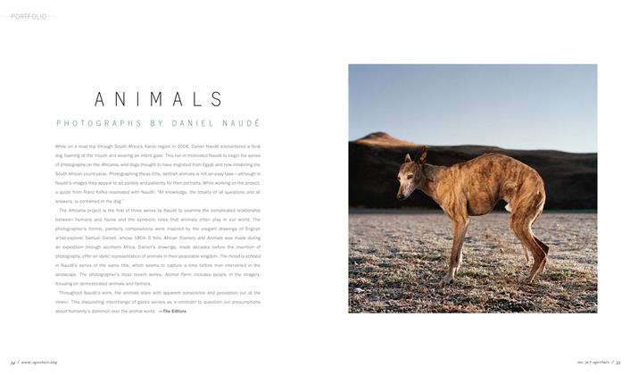 Animals: Photographs By Daniel Naudé 