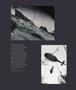 Page: - 23 | Aperture