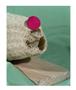 Page: - 33 | Aperture