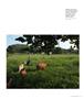 Page: - 35 | Aperture