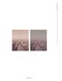 Page: - 150 | Aperture