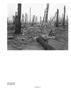 Page: - 109 | Aperture