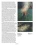 Page: - 30 | Aperture