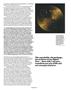 Page: - 38 | Aperture