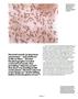 Page: - 45 | Aperture