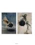 Page: - 62 | Aperture