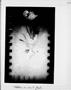 Page: - 72k | Aperture